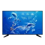 Dolphin Smart TV 55"